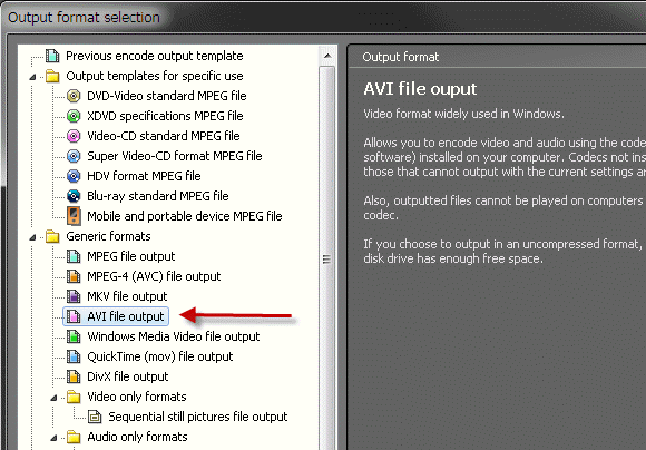 Video Mastering Works 5 - AVI file output