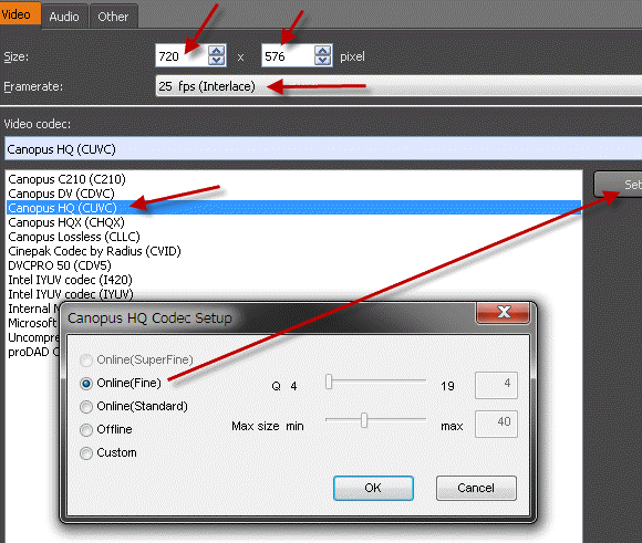 Video Mastering Works 5 - AVI settings