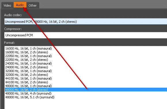 Video Mastering Works 5 - Audio settings