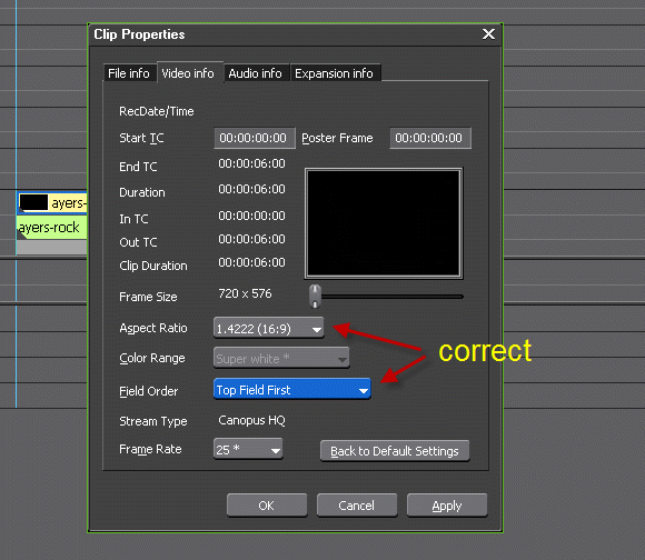 Video Mastering Works 5 - EDIUS clip properties correct