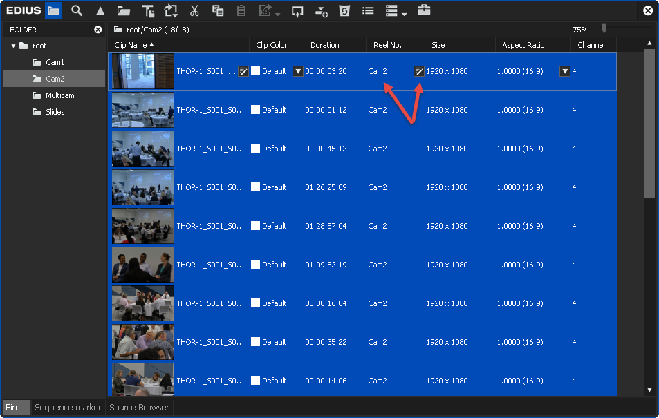 EDIUS 9.5 Multicam preparation step2